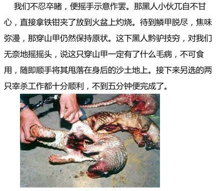 我鼻子疼