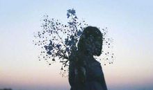 我努力读懂他的爱