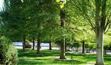 景色迷人的校园