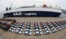 守得本真见月明