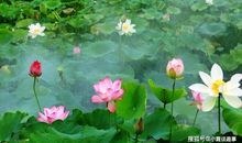 有一种成长叫珍惜