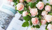 书香陪伴的幸福