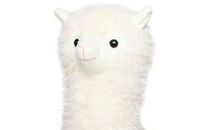 我心爱的小玩偶