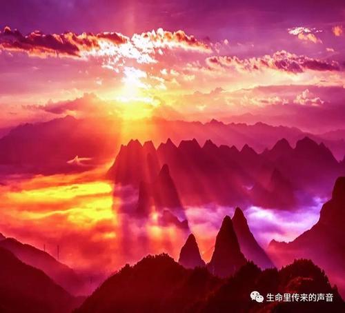 公义有它自己的香气