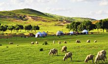 多伦大草原游记