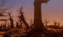 一种向上的姿态