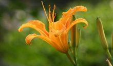 有一首歌留在我心间