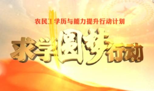一百天的梦想-珍惜可以挣扎的日子