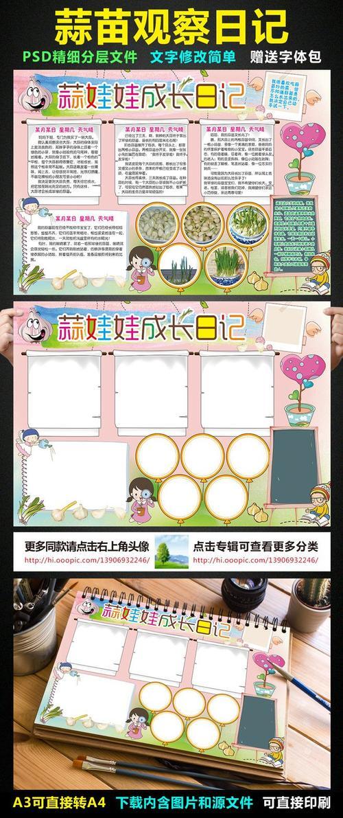 大蒜生长日记