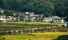 深秋的田园风光