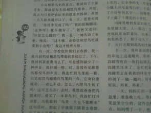 关于失败的论文