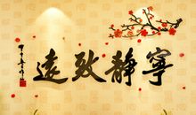 闹中取静宁静致远