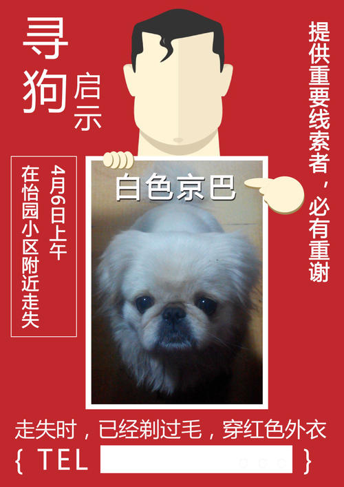 小狗的启示