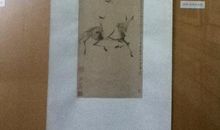 “青藤书屋”游记