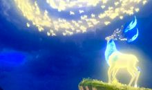 指引我前行的星