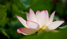 一路成长一路美好