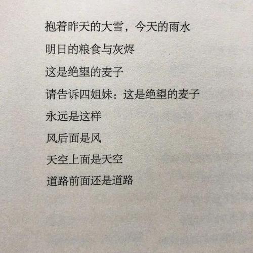 我是艺术候选人