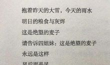 我是艺考生观后感