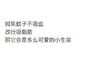 给蚊子的一封信