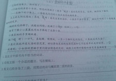小女孩捡贝壳