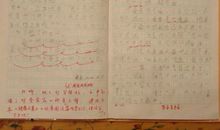 我最喜欢的动物作文300字左右