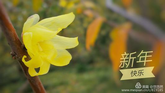 想象2019年