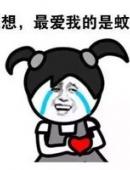 我和蚊子约会