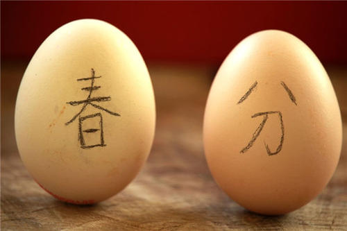 立式蛋游戏