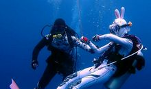 一次蓝色的邂逅