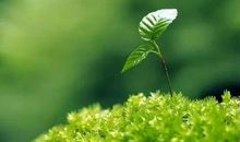 在春天中重新开始