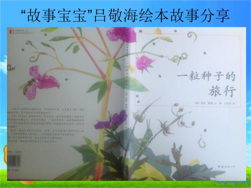 如果我是种子