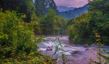 美丽的鸡冠子山