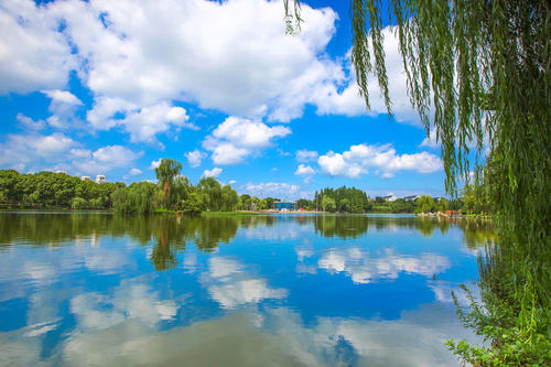 美丽的镜湖
