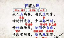 六年级上册作文变形记600字