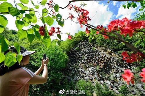 森林选美
