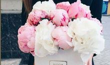 一缕清风一缕梦