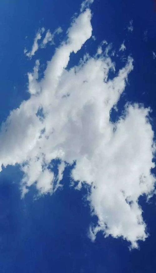 校园的天空是蓝色的