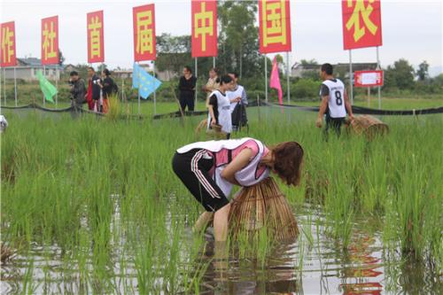 难忘的捉鱼游戏