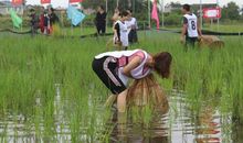 难忘的捉鱼比赛