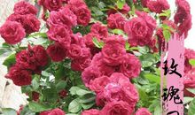 我爱你，多彩的春天