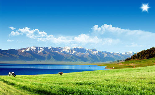 迷人的风景
