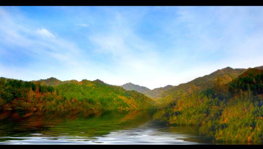 热爱风景
