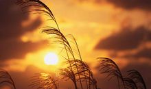 难以忘怀的尝试