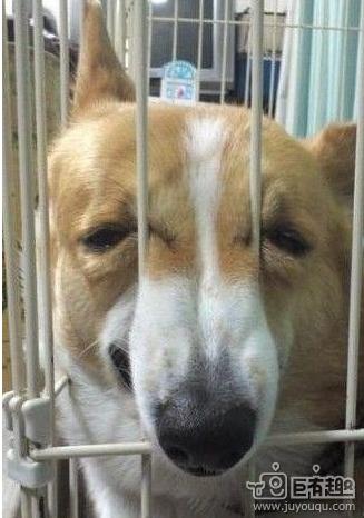 我要自由