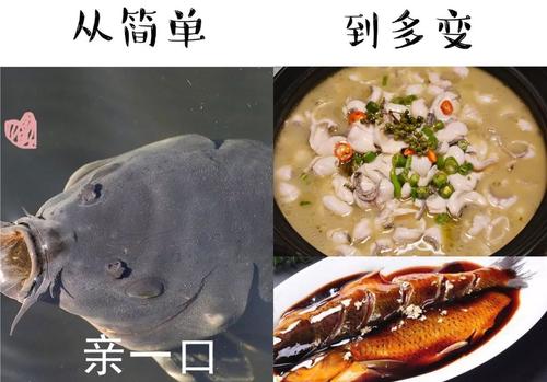 从幼稚到成熟