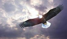 您是祖国腾飞的翅膀