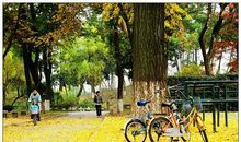 感悟生活在于希望