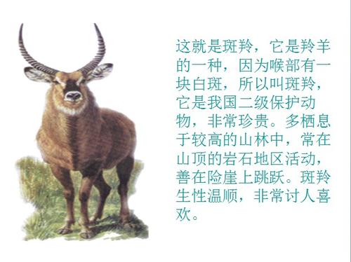 关于阅读“戈拉飞行在十字架上”的古老目标