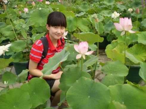 见莲花