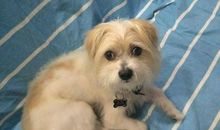 想起这件事我就十分感动